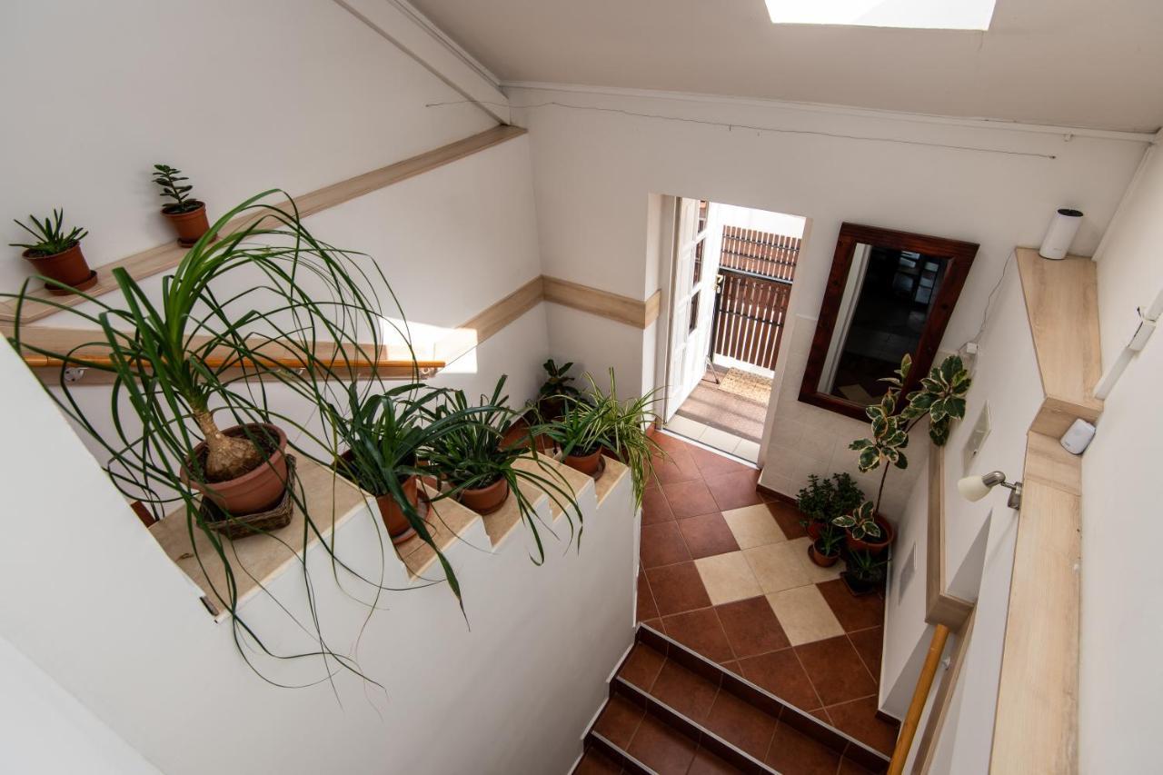 Fenyes Vinorium Bed and Breakfast Σόπρον Εξωτερικό φωτογραφία