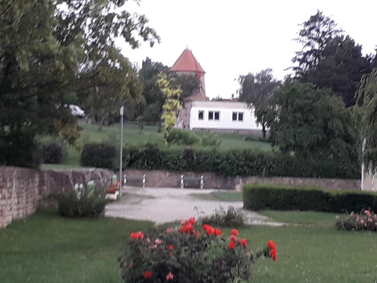 Fenyes Vinorium Bed and Breakfast Σόπρον Εξωτερικό φωτογραφία